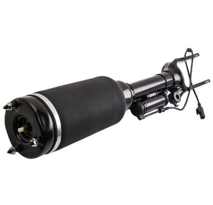 Suspensi udara depan Shock Absorber Strut 2513203013 untuk Mercedes Benz W251
